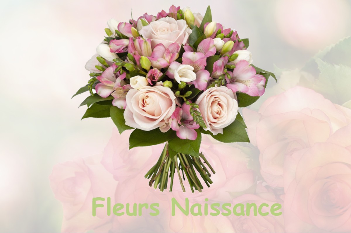 fleurs naissance MONCHEAUX-LES-FREVENT